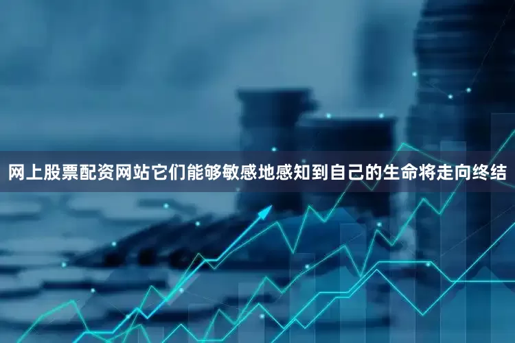 网上股票配资网站它们能够敏感地感知到自己的生命将走向终结