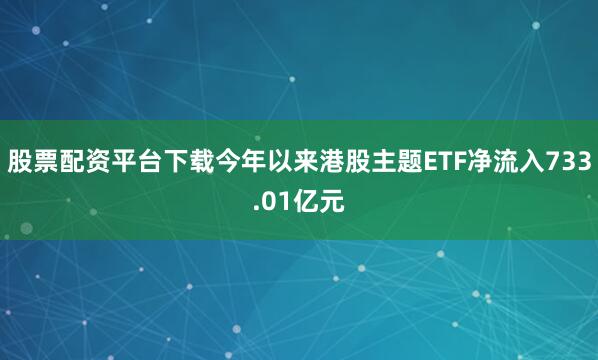 股票配资平台下载今年以来港股主题ETF净流入733.01亿元