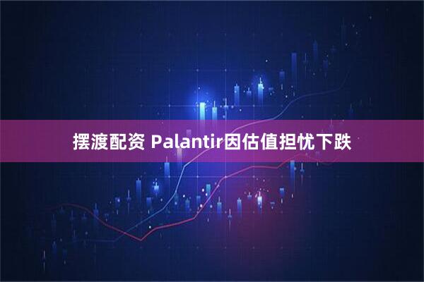 摆渡配资 Palantir因估值担忧下跌