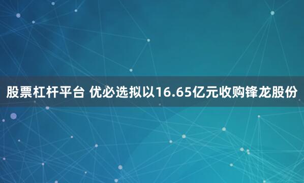 股票杠杆平台 优必选拟以16.65亿元收购锋龙股份