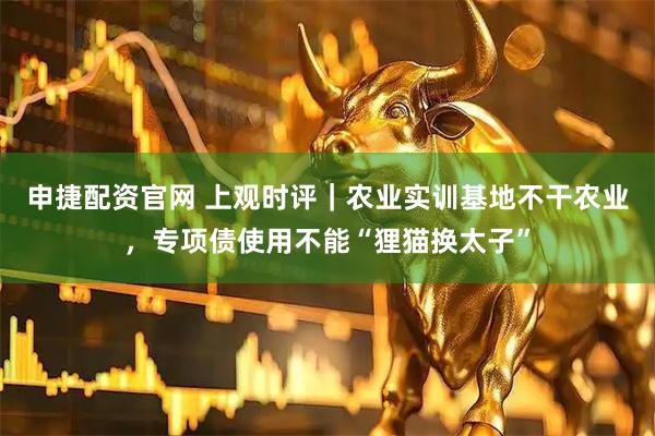 申捷配资官网 上观时评｜农业实训基地不干农业，专项债使用不能“狸猫换太子”