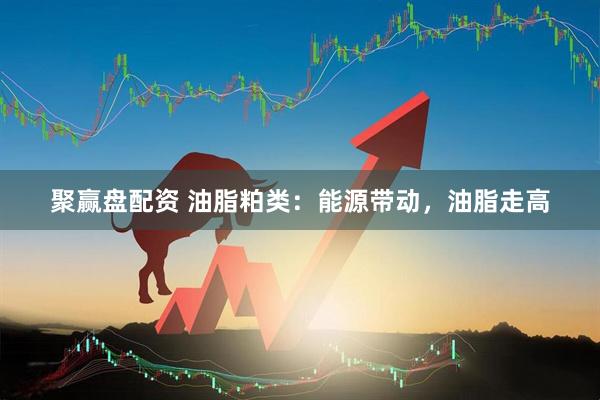 聚赢盘配资 油脂粕类：能源带动，油脂走高