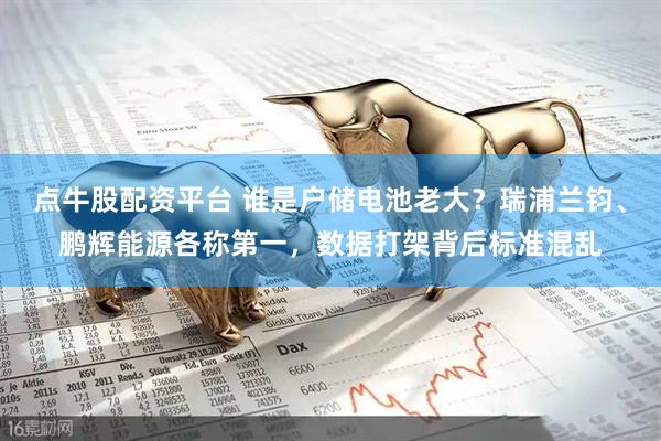 点牛股配资平台 谁是户储电池老大？瑞浦兰钧、鹏辉能源各称第一，数据打架背后标准混乱